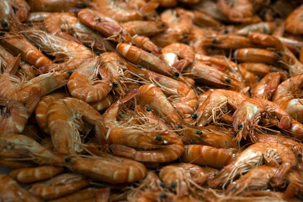 Prawns