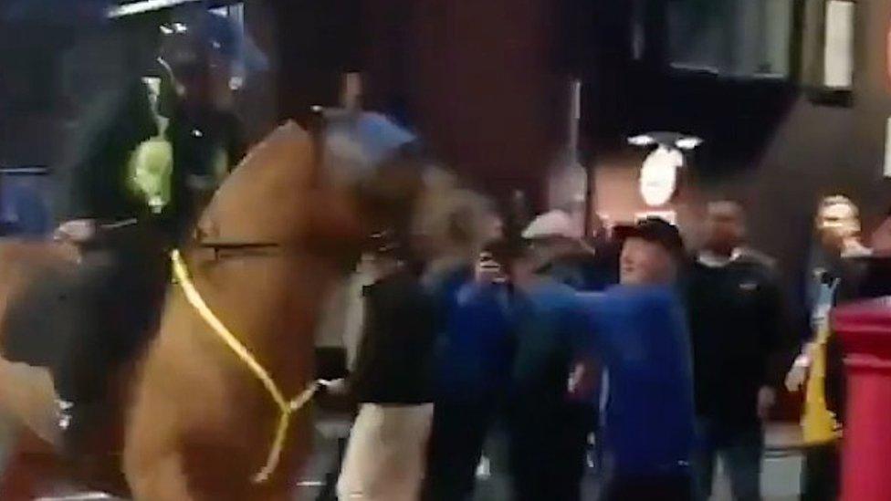 Man punching horse at football match