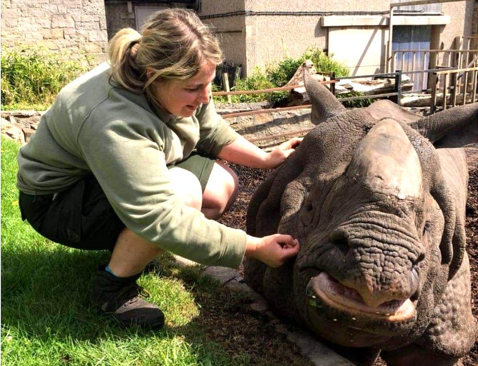 Phoebe with Bertus the rhino