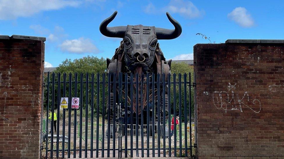 The bull in the car park