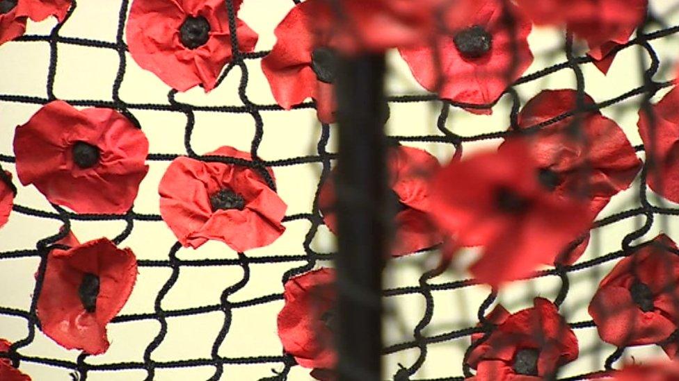 Poppies display