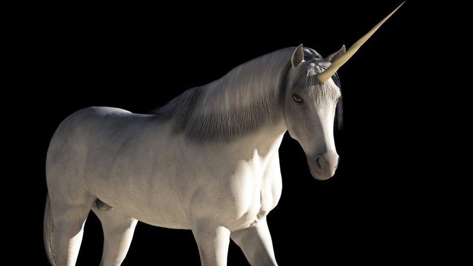 a unicorn