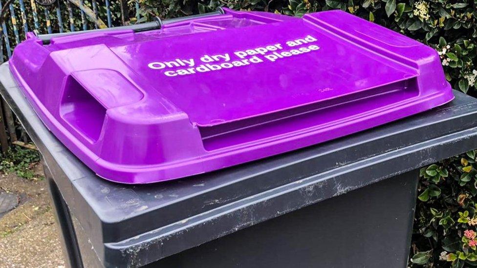 Purple bin