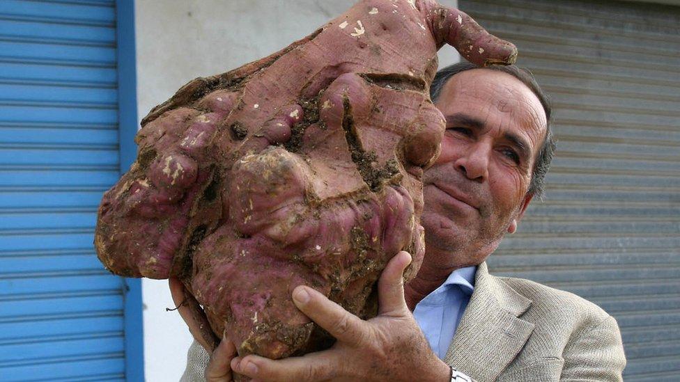 Man holding giant potato