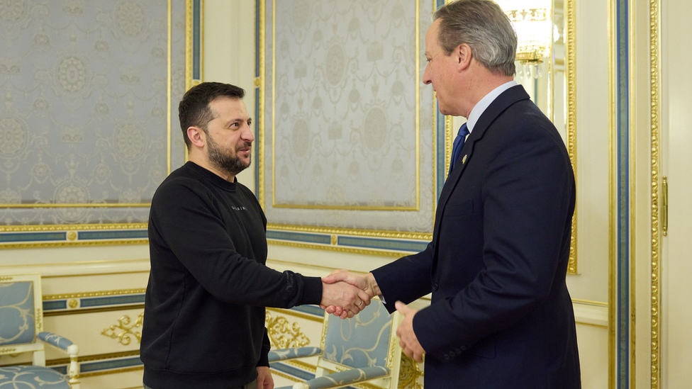 Zelensky and Cameron shake hands