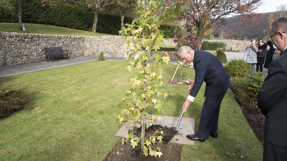 The Prince of Wales plants a tree in the Aberfan Memorial Garden