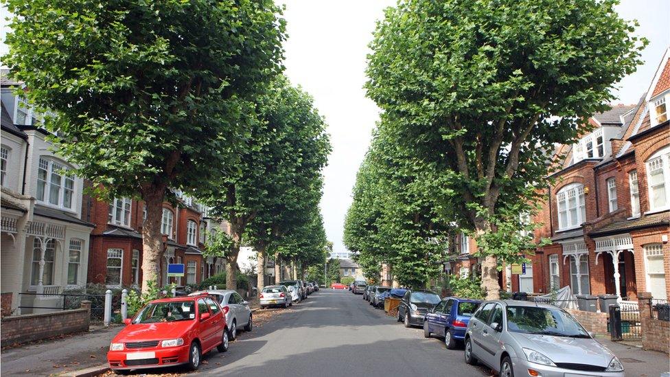 houses-along-a-road-with-trees.