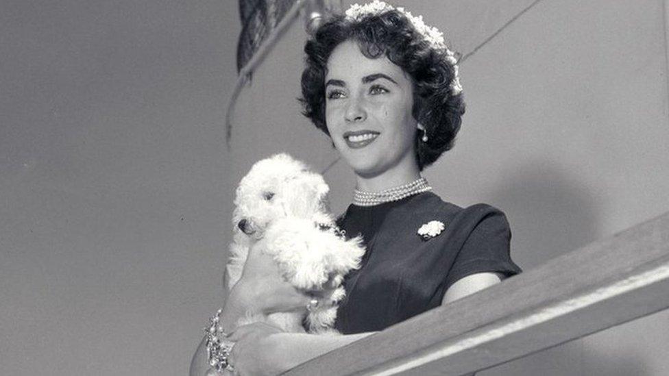 Elizabeth Taylor on board the Queen Mary