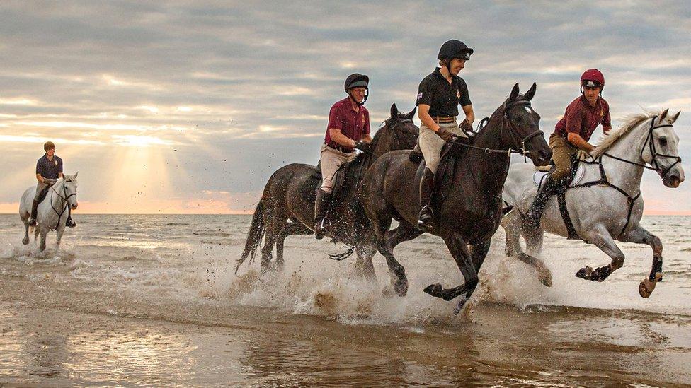 Household Cavalry Mounted Regiment on Holkham beach