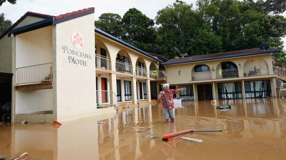 A man stands in ankle-deep water in South Murwillumbah.