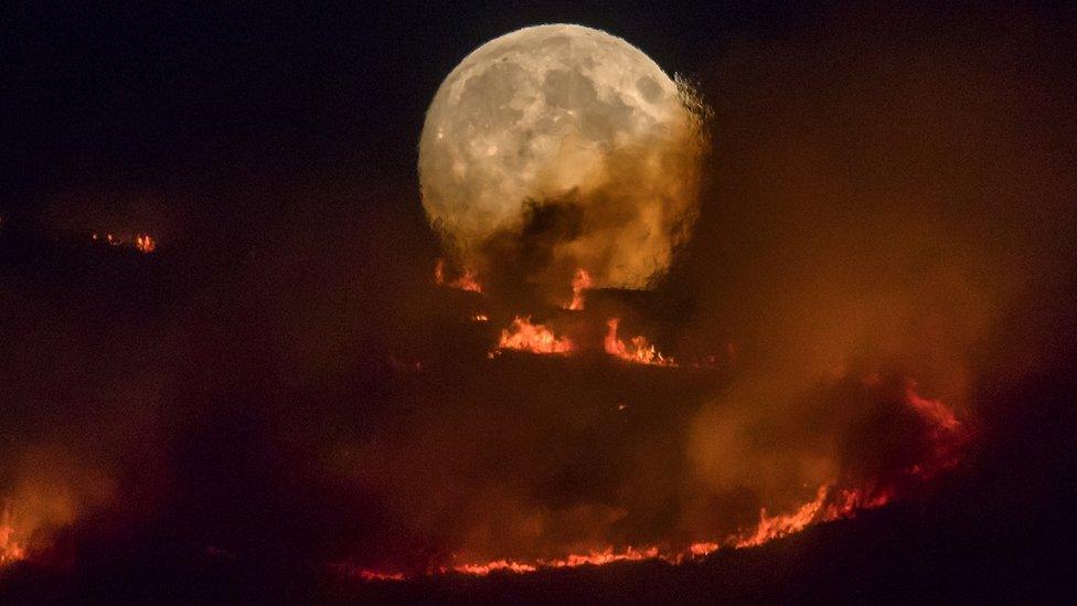 A full moon rises over a fire on Saddleworth Moor