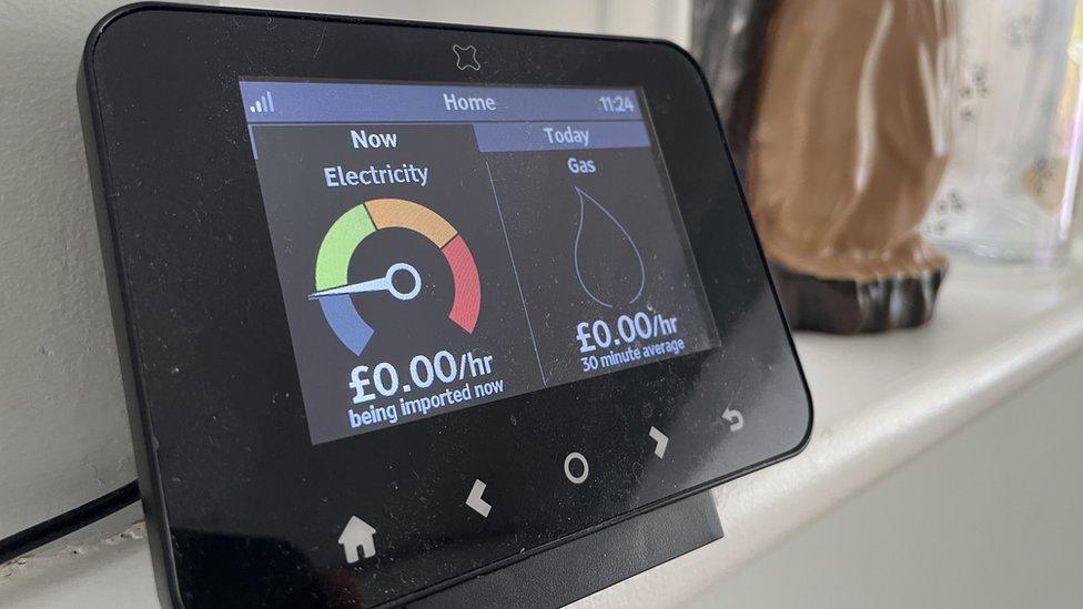 A smart meter in Daryl Bradley's house