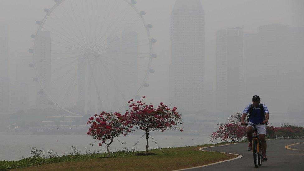 Man cycles in Singapore in heavy pollution (23 October)