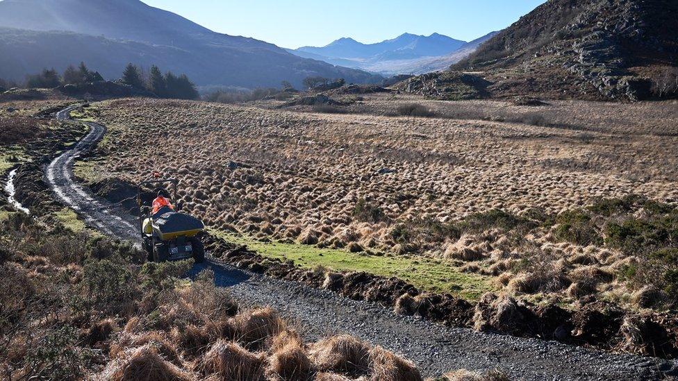 Gwaith atgyweirio ar lwybrau cerdded ardal Capel Curig