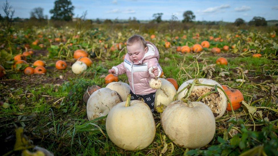 child-playing-with-ghost-pumpkins.