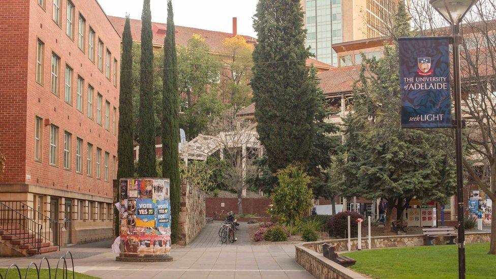 Posters at the University of Adelaide urge a "yes" vote in Australia's same-sex marriage survey