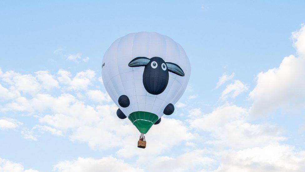 Sheep balloon flying off at the festival