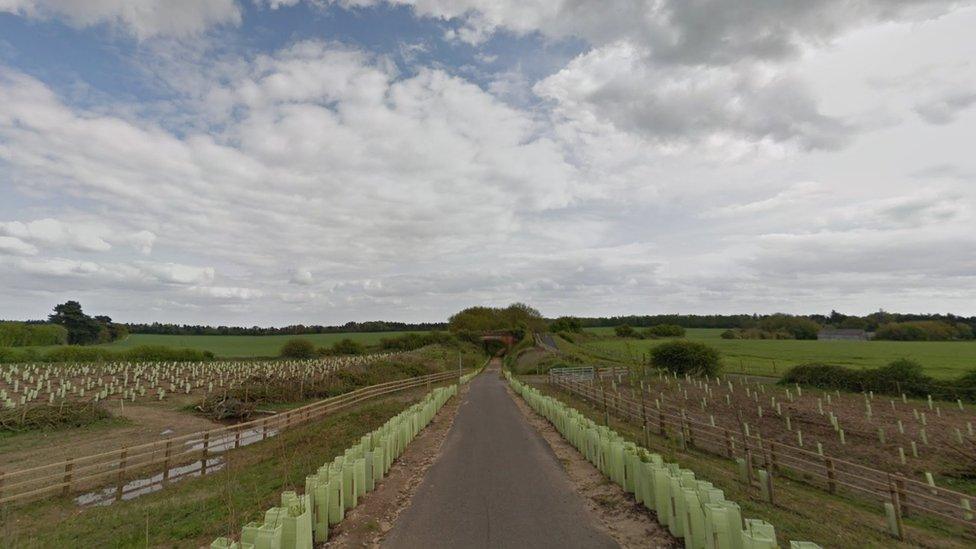 Marriots Way. A former railway line which is now a walkway for cyclists and walkers. A dropped pavement surrounded by greenery.