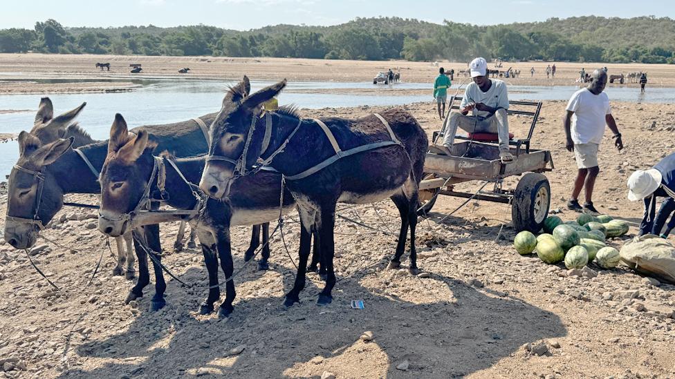 A donkey cart that carried melons over the Limpopo River from Zimbabwe into South Africa