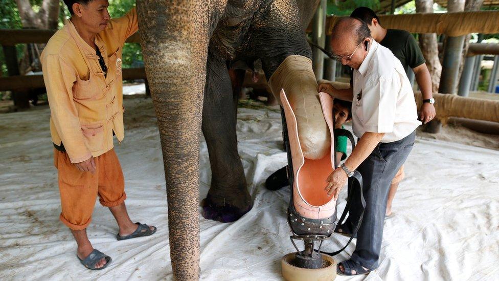 Motola has her prosthetic leg attached