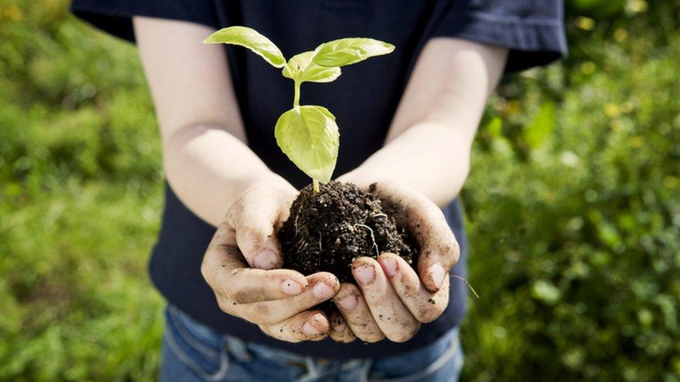 child holding plant