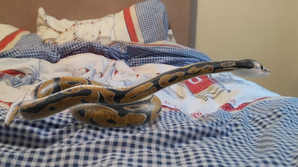 snake on bed