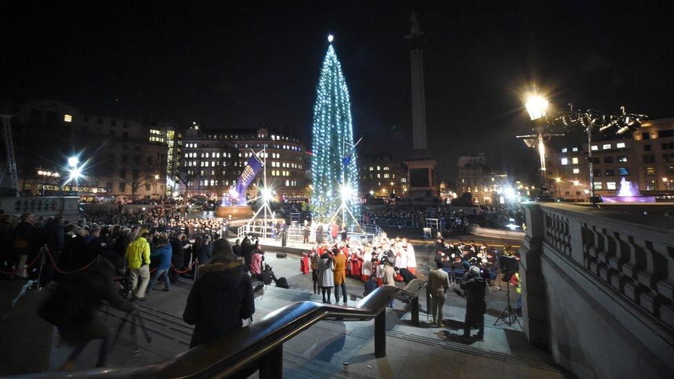 Christmas tree in Trafalgar Square