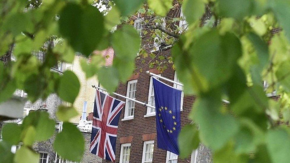 Flags in Smith Square