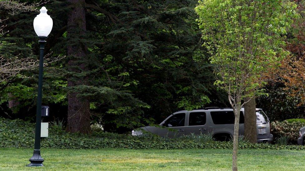 A photo showing the spot where French President Emmanuel Macron's sapling once stood