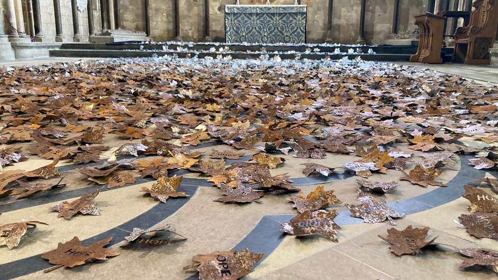 Leaves in the cathedral