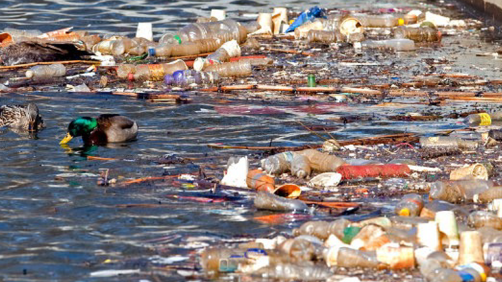 Plastic waste along the Buffalo River which New York State AG used the picture of in its lawsuit.