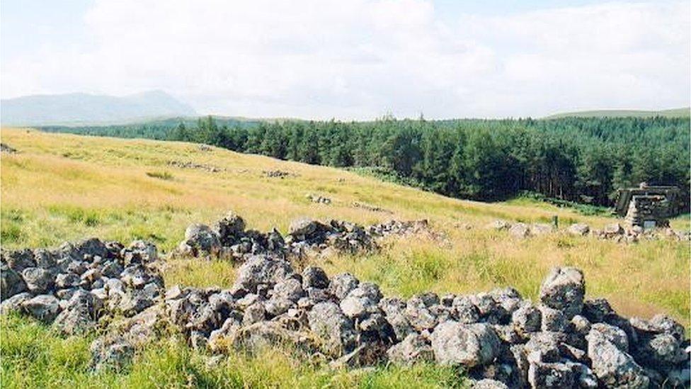 Rosail