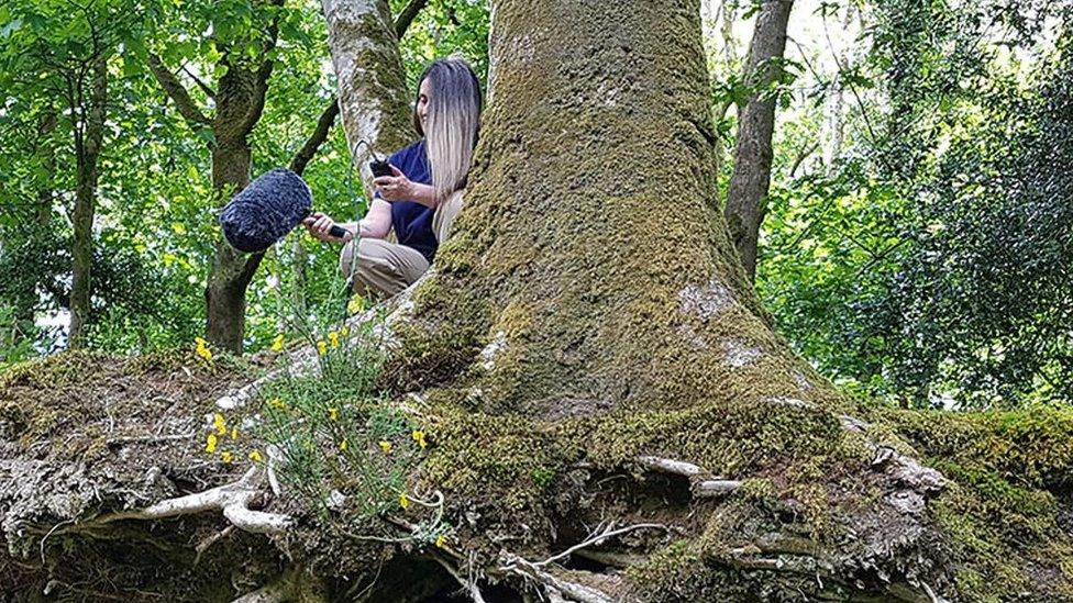 Cheryl Beer recording in nature