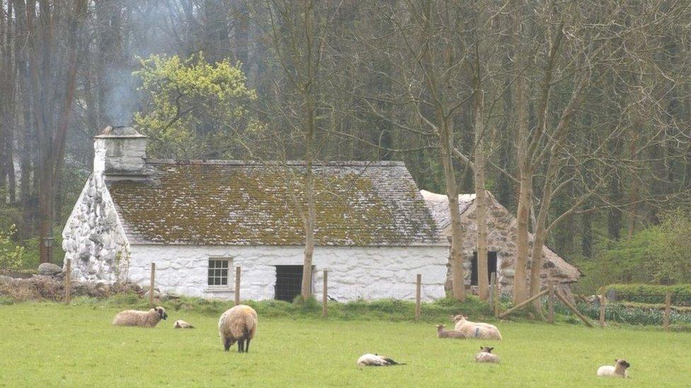 Llainfadyn cottage