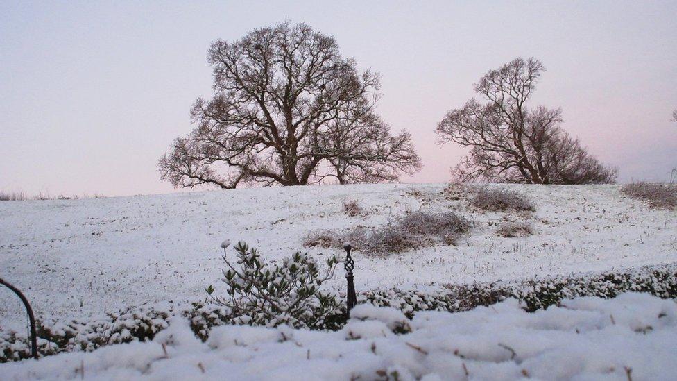 Llanelwy