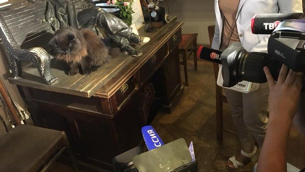 Behemoth the cat in front of news cameras at Bulgakov House