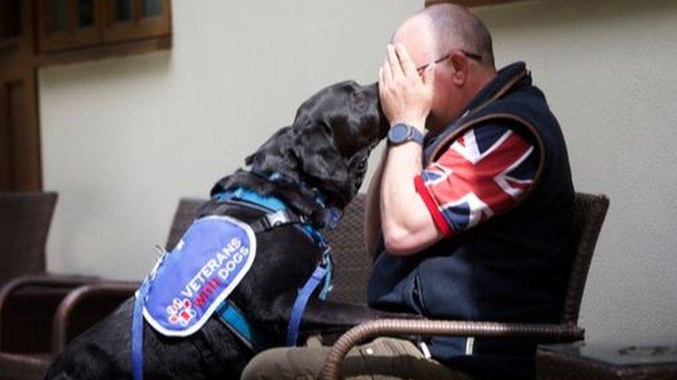 Veterans With Dogs