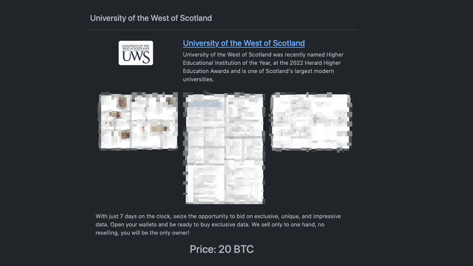 The auction listing the supposed stolen data