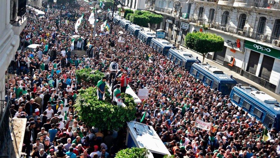 A main avenue in Algiers flooded with people