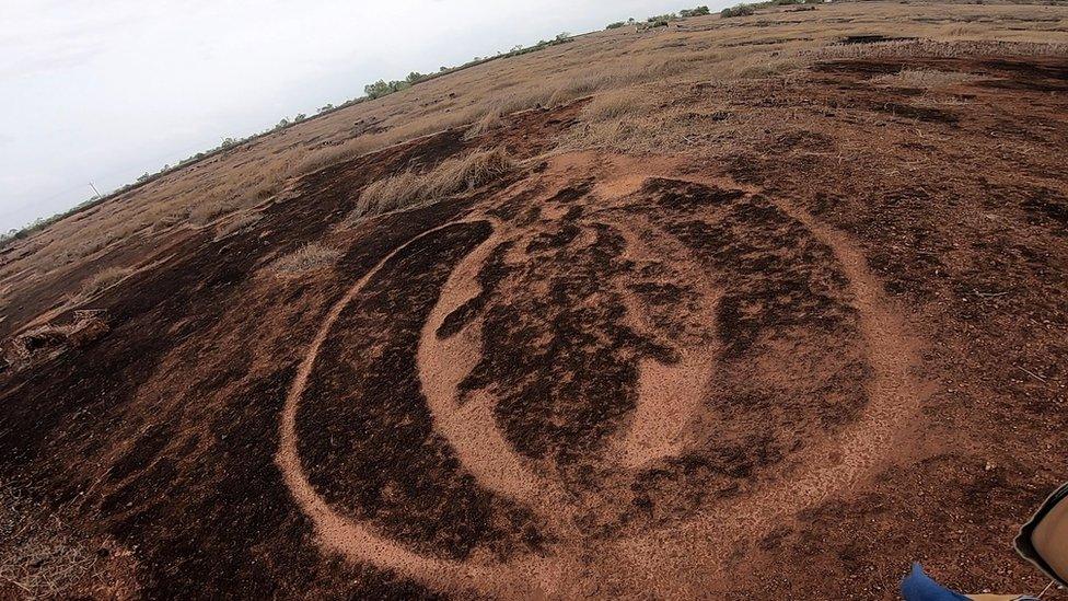 Petroglyph insect, possibly a beetle