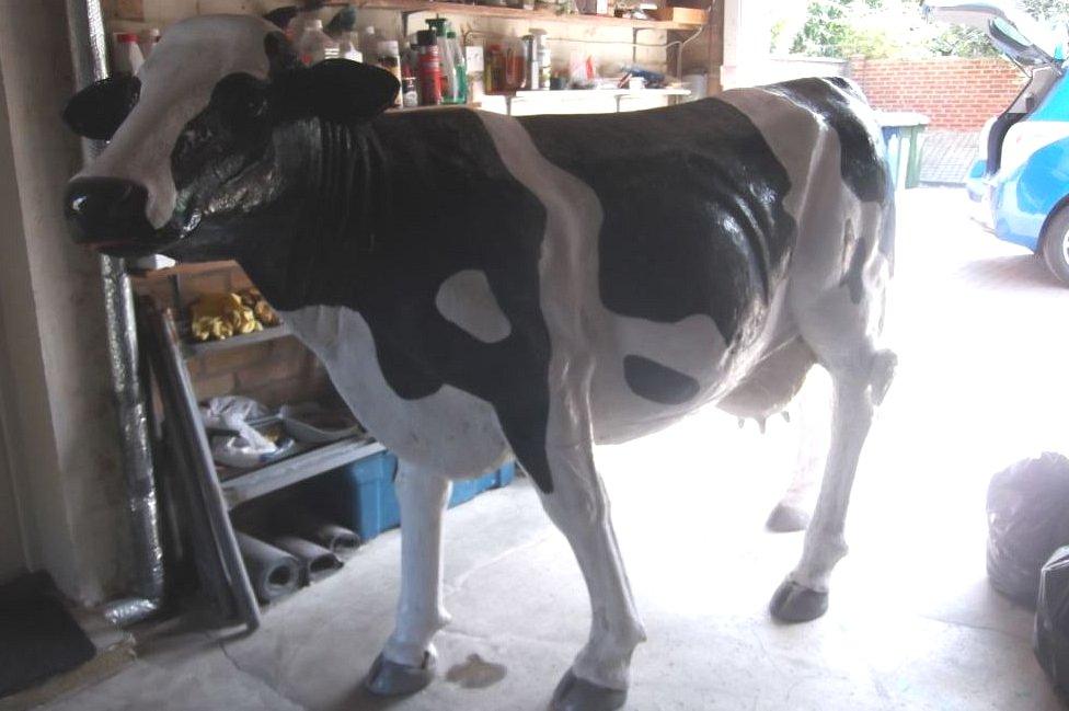 Blossom the cow