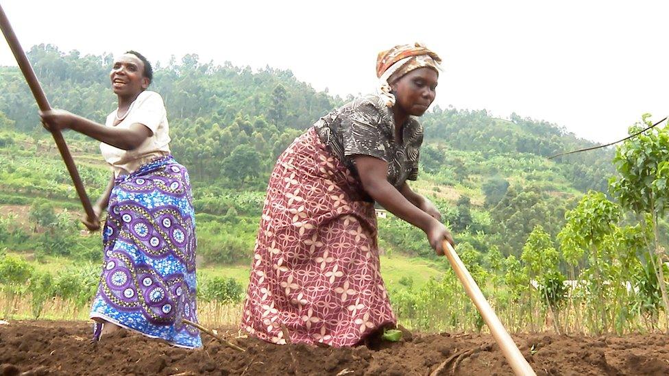 Women farming