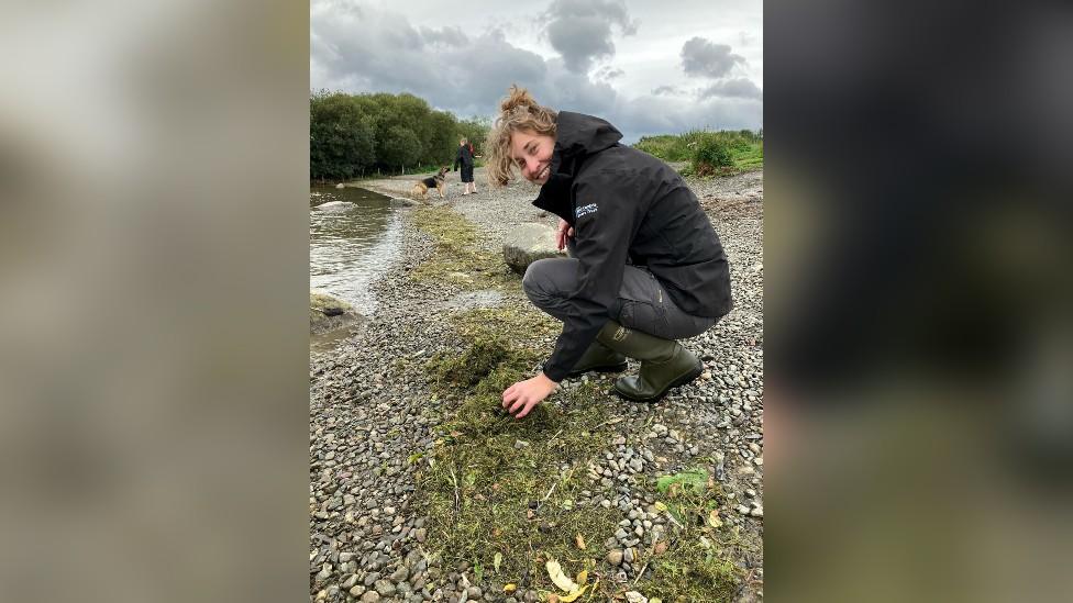 Izzie Mullin identifying invasive weeds on the shores of Derwent Water