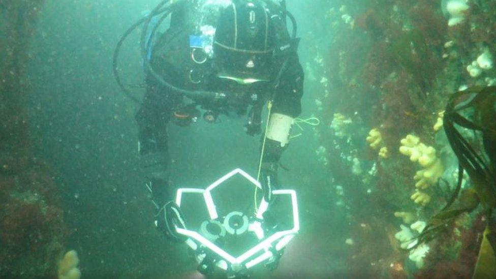 The wreck site being photographed