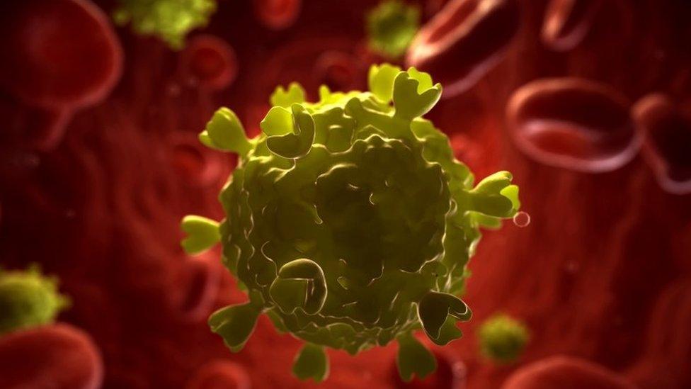 HIV virus