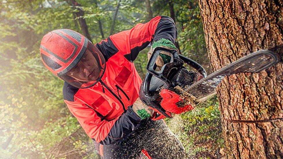 A lumberjack cutting down a tree with a chainsaw