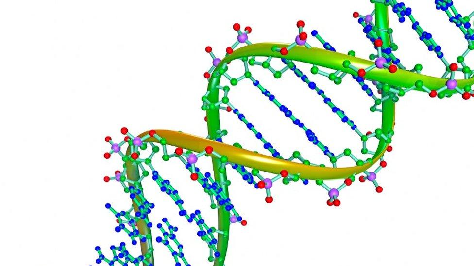 DNA structure illustration