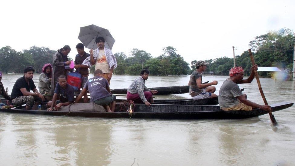 Rhino being rescued in a long boat