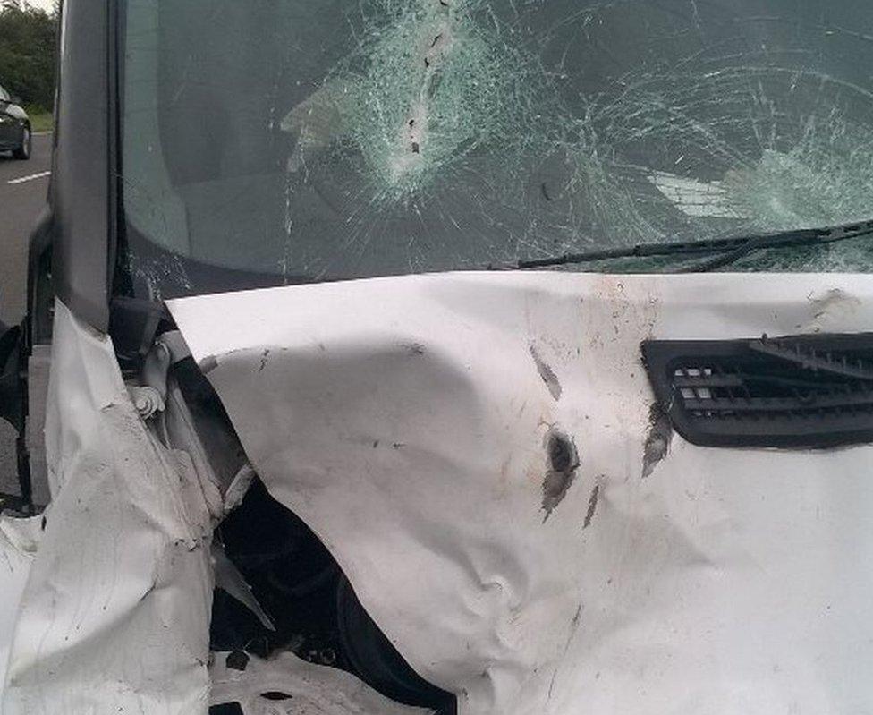 Van damaged after colliding with a deer