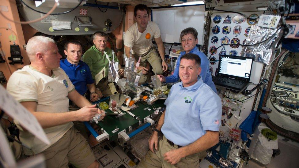 Astronauts on expedition 50